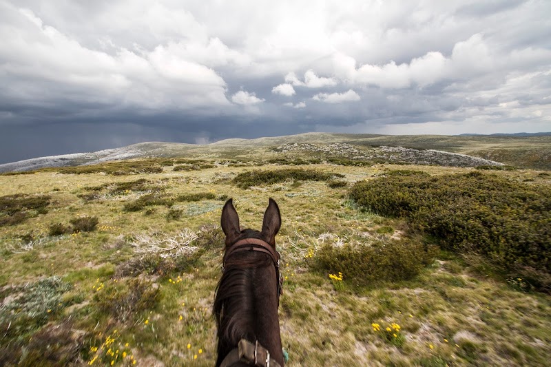 Photo of Bogong Horseback Adventures in Victoria
