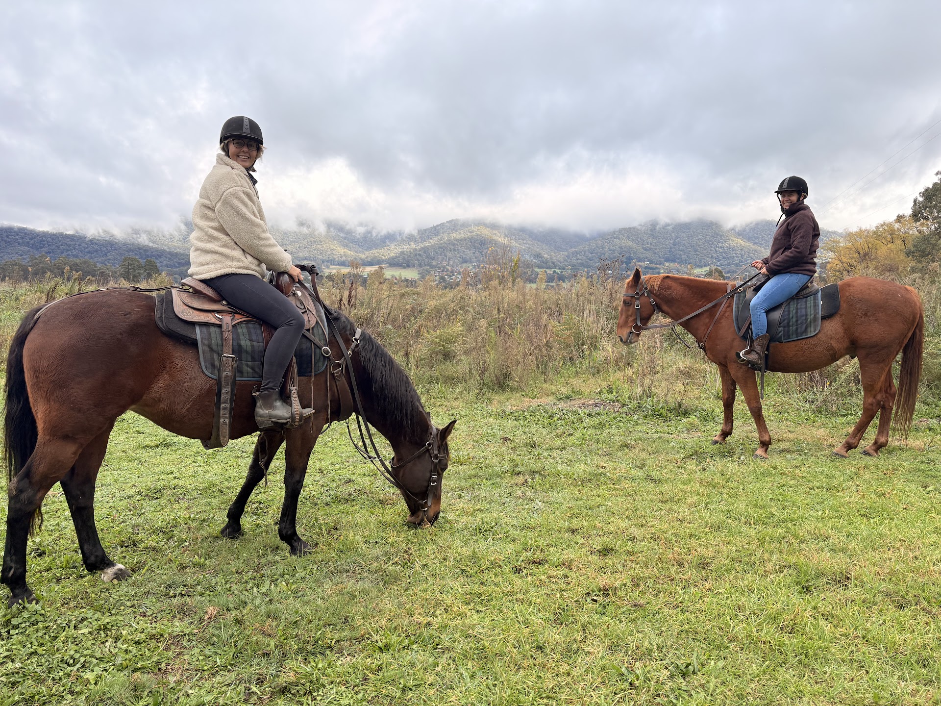 Bogong Horseback Adventures photo 3