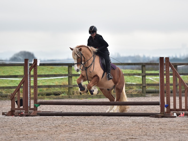 Bold heath equestrian center photo 2