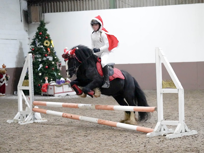 Bold heath equestrian center photo 3