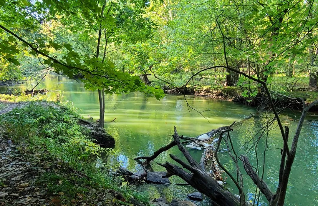 Bonnabel Nature Park