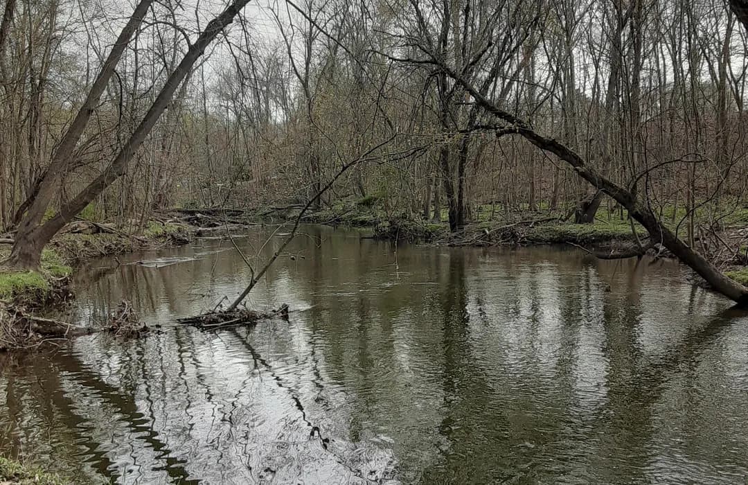 Bonnabel Nature Park photo 2