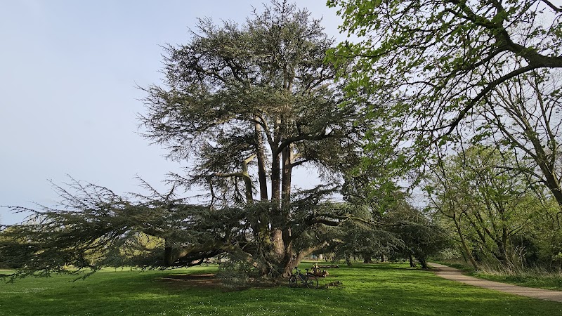 Boston Manor Park photo 2