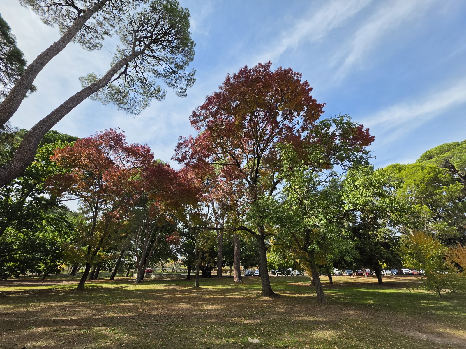 Botanical Gardens Playspace photo 2