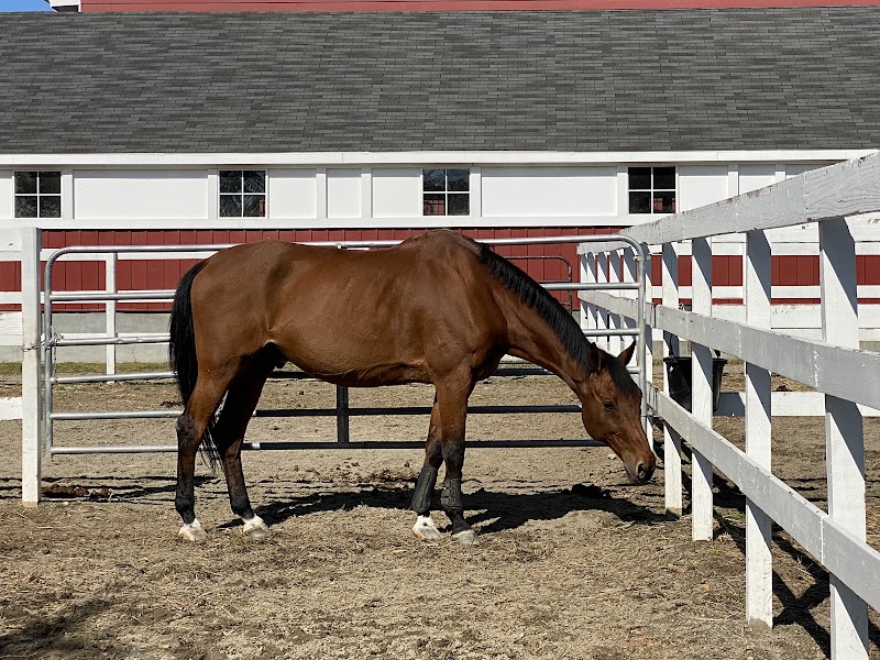 Boulder Brook Equestrian Center