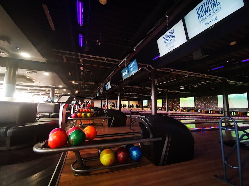 Bowl and Social photo 2