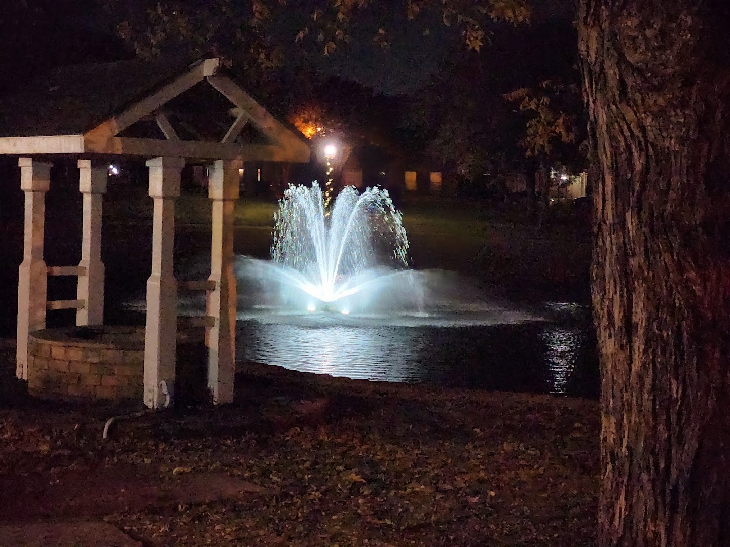 Bradford Park photo 3