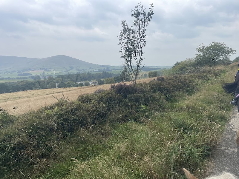 Photo of Braeden Pony Trekking Centre in North West