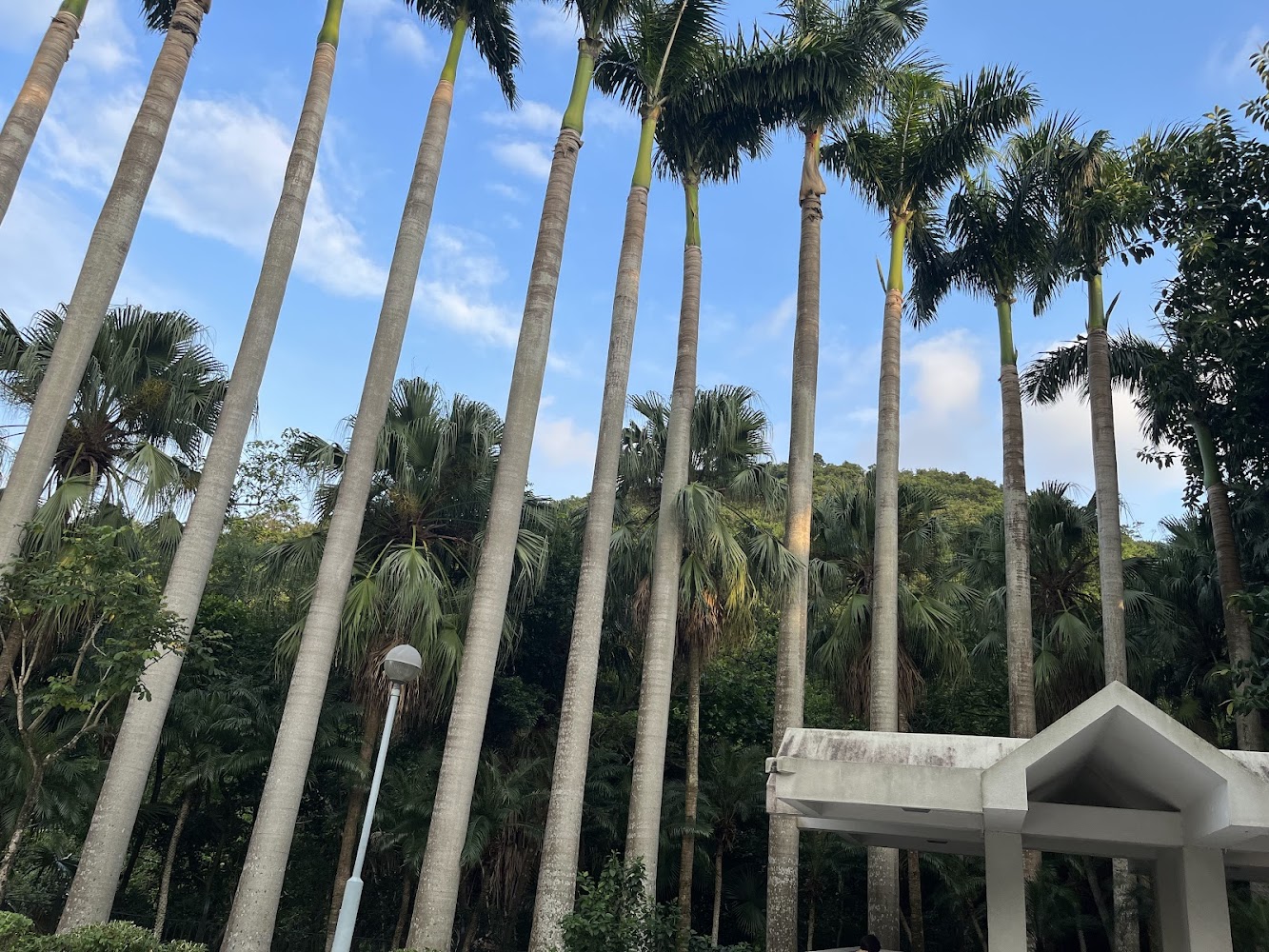 Braemar Hill Road Playground photo 5