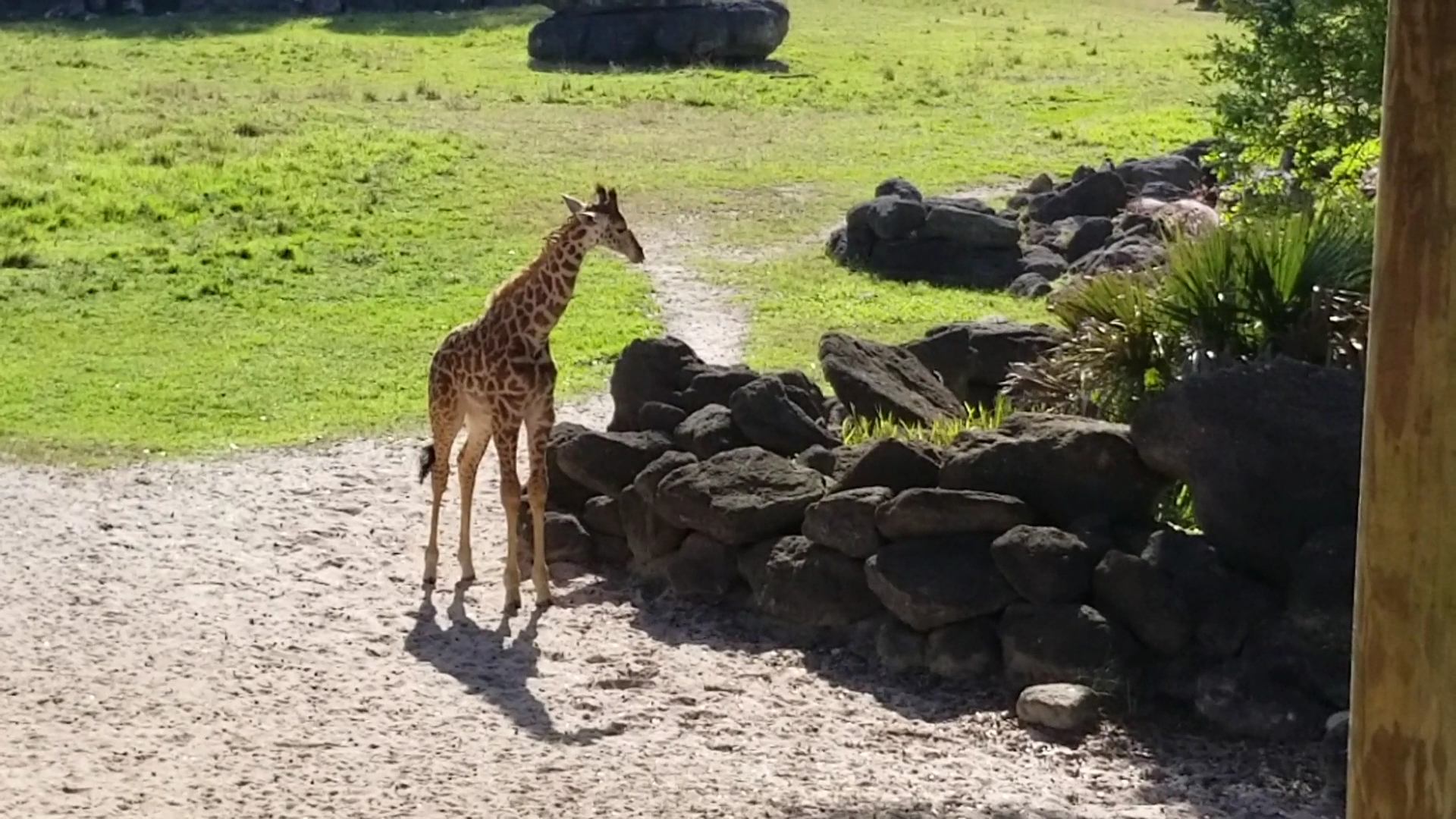 Brevard Zoo photo 2