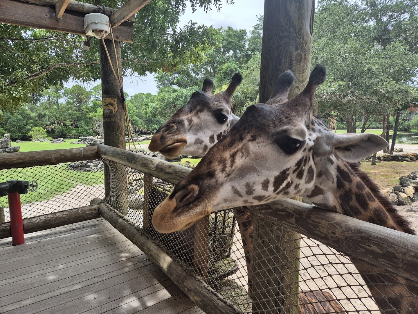 Brevard Zoo photo 3