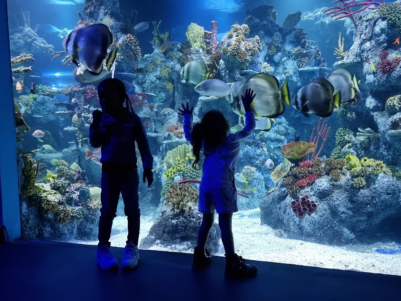 Bristol Aquarium photo 2