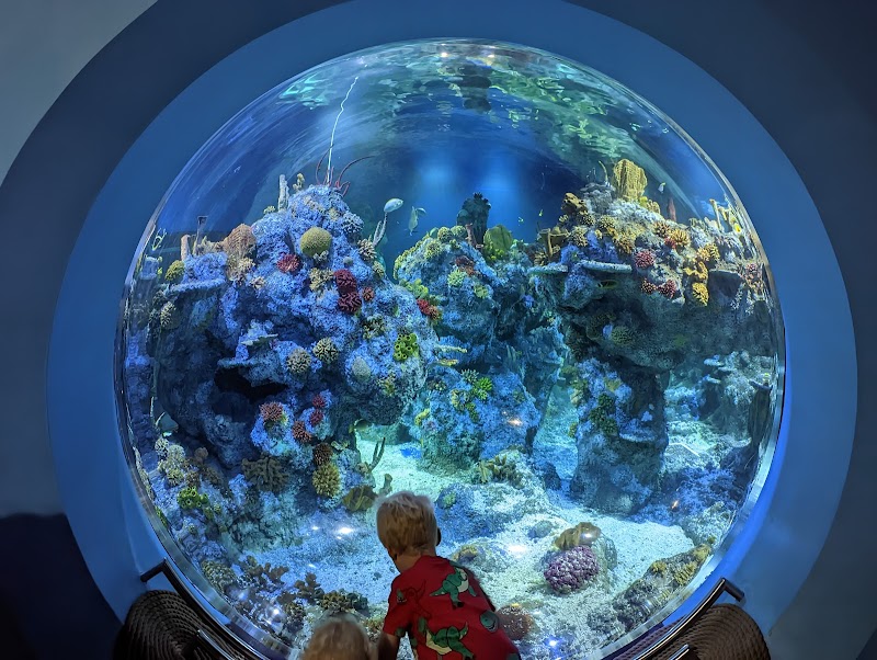 Bristol Aquarium photo 3