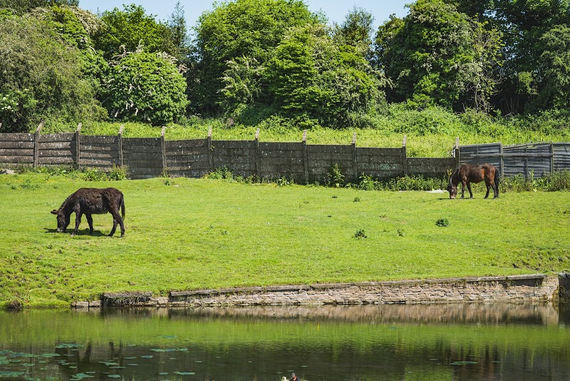 Brockswood Animal Sanctuary photo 2