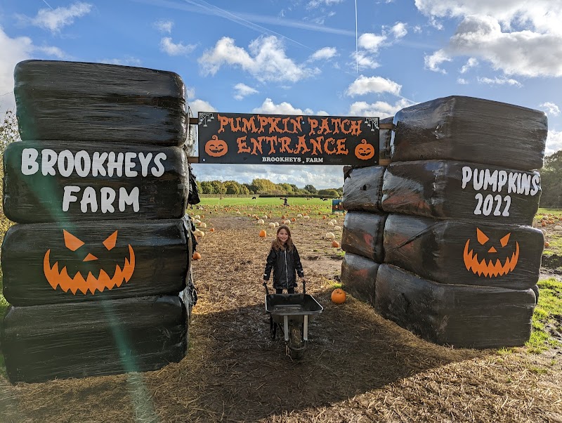 Brookheys Farm photo 2