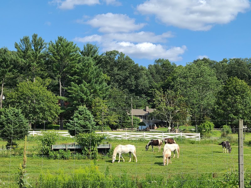 Brookhollow's Barnyard