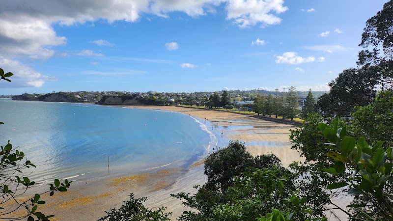 Browns Bay Beach Reserve