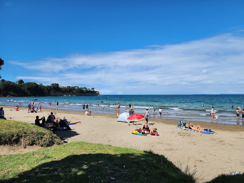 Browns Bay Beach Reserve photo 2