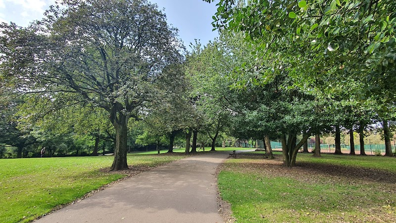 Buile Hill Park Playground photo 3