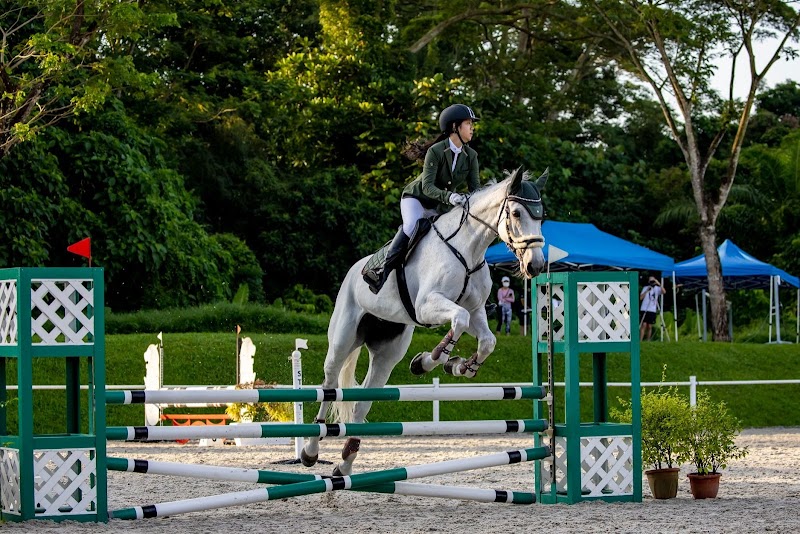 Bukit Timah Saddle Club