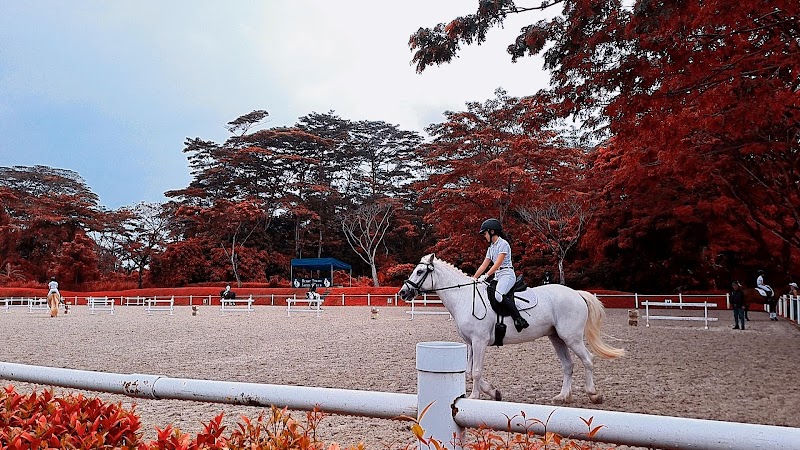 Bukit Timah Saddle Club photo 2