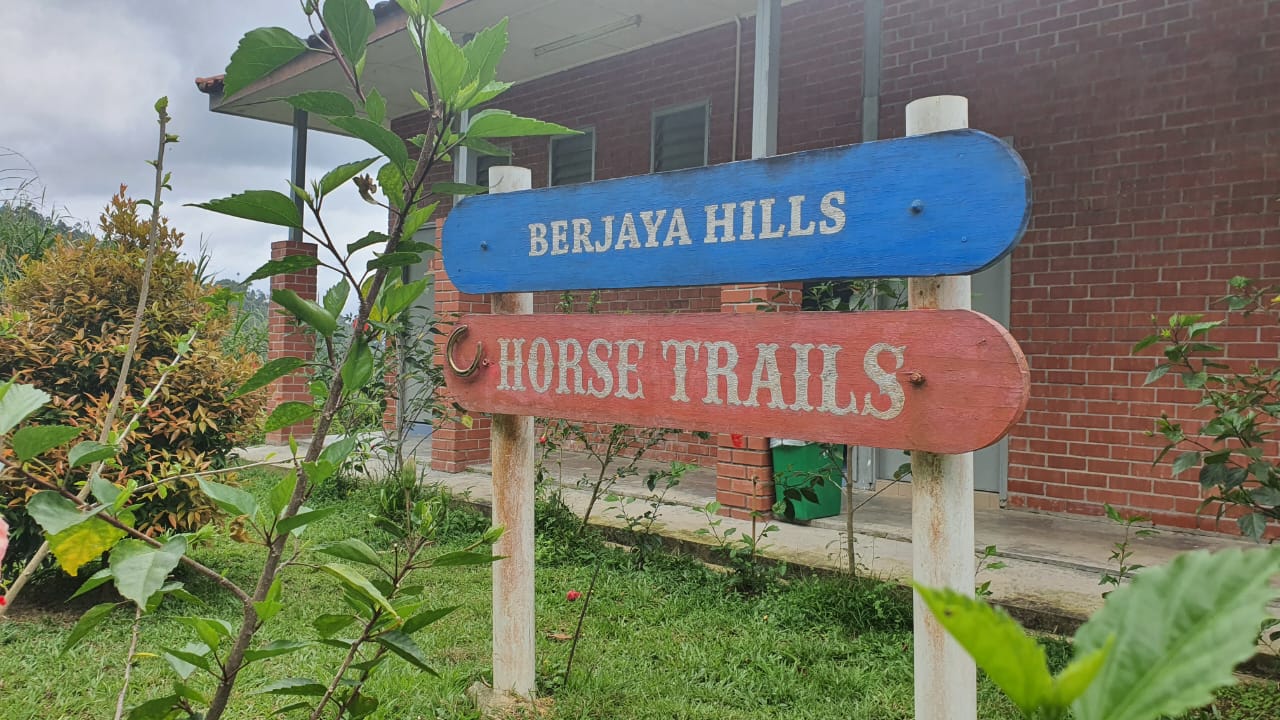 Bukit Tinggi Horse Trail Rides photo 2