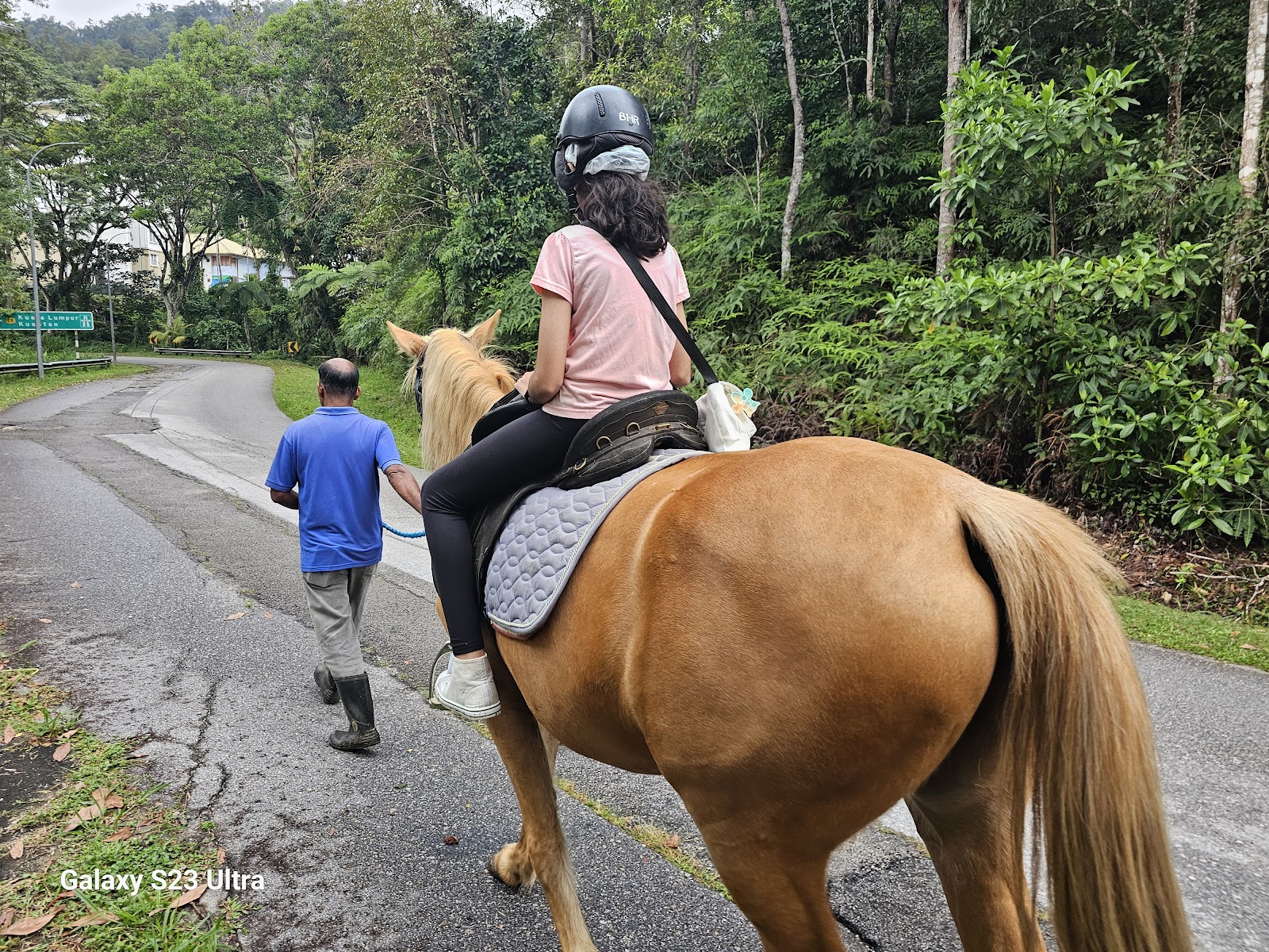 Bukit Tinggi Horse Trail Rides photo 3