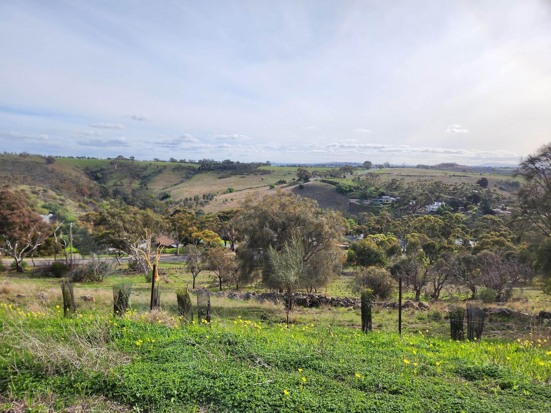Bulla Hill Miniature Railway photo 2