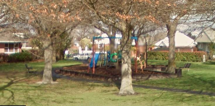 Bullock Reserve Children's playground photo 3