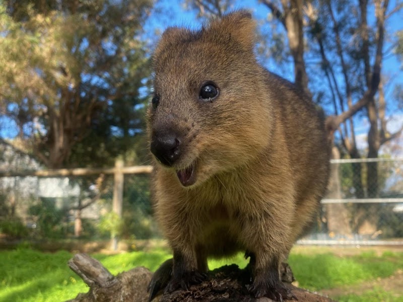 Bunbury Wildlife Park photo 2