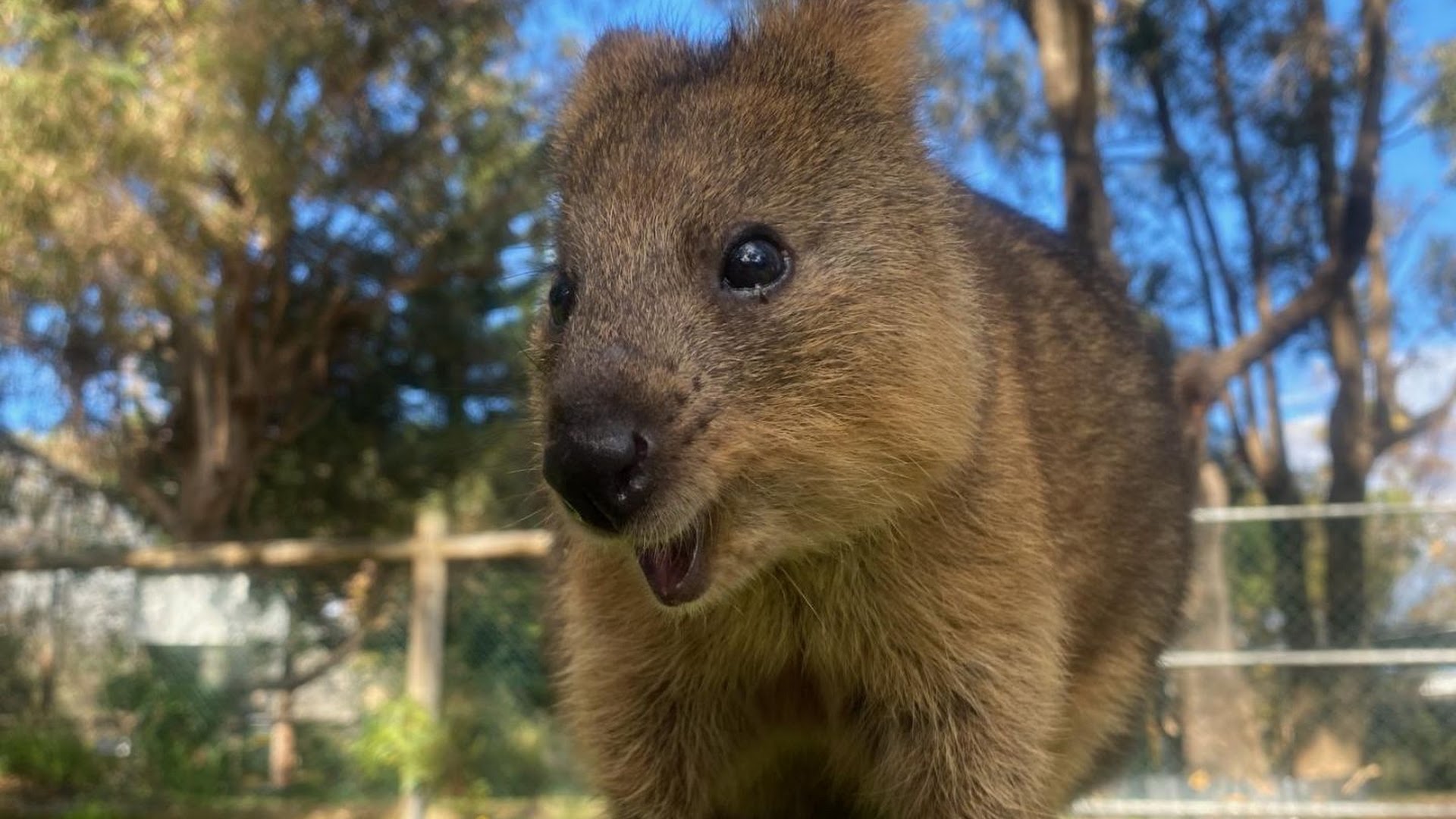 Bunbury Wildlife Park photo 2
