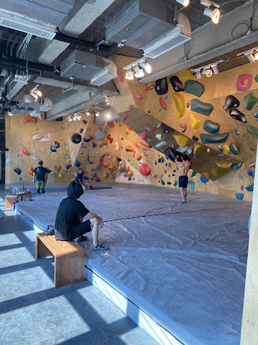 Butterfly Climbing Gym