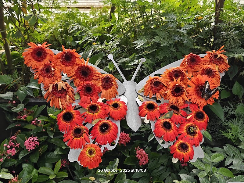 Butterfly Garden photo 2