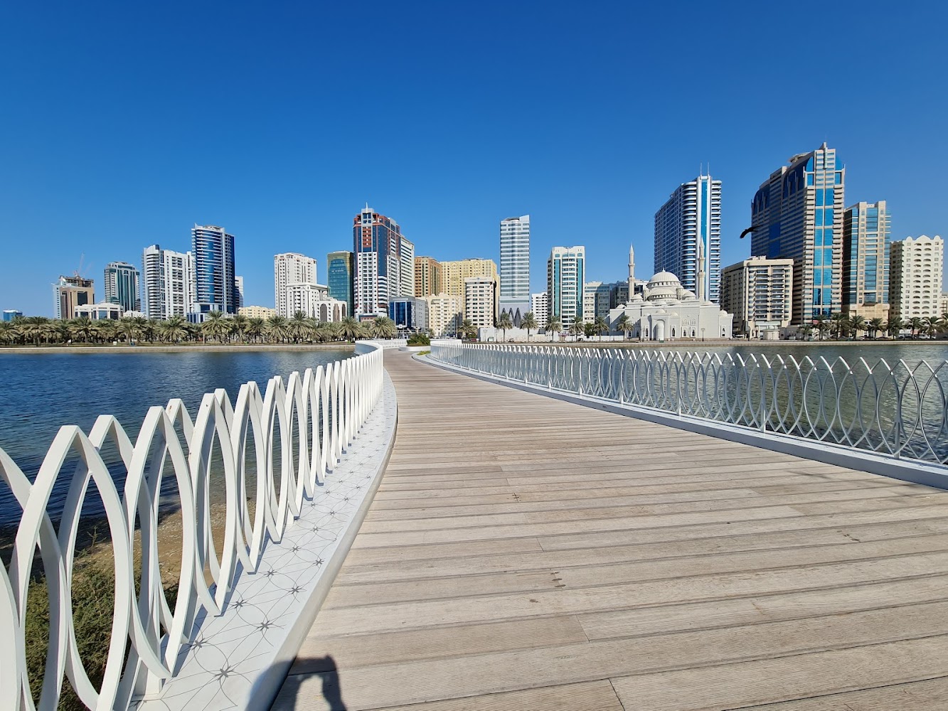 Butterfly Park photo 4