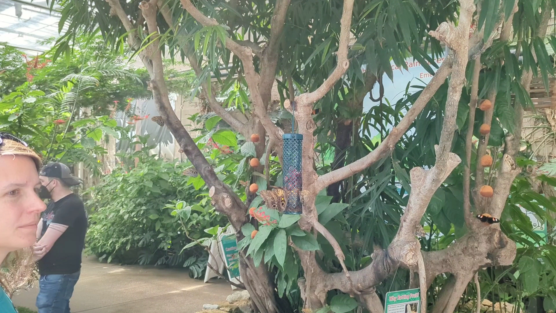 Butterfly Pavilion photo 2