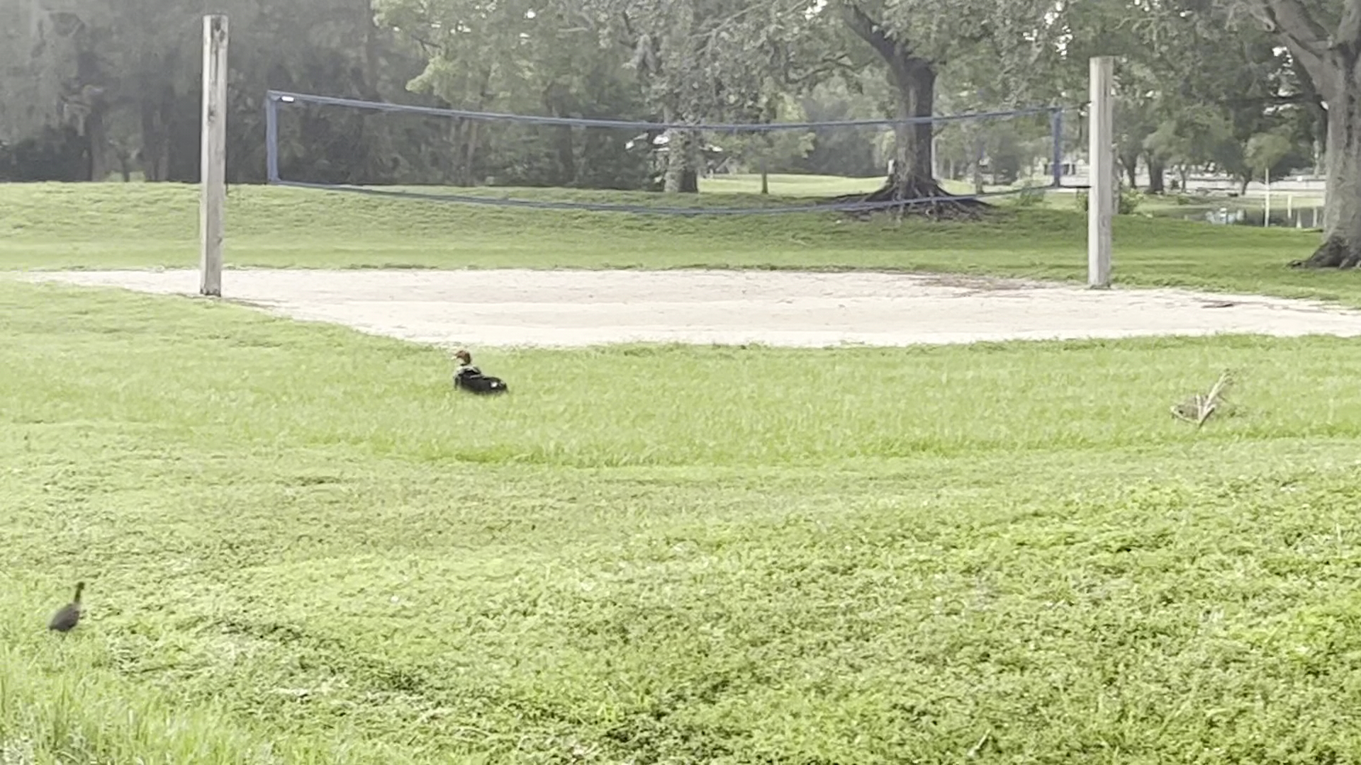 C.B. Smith Park