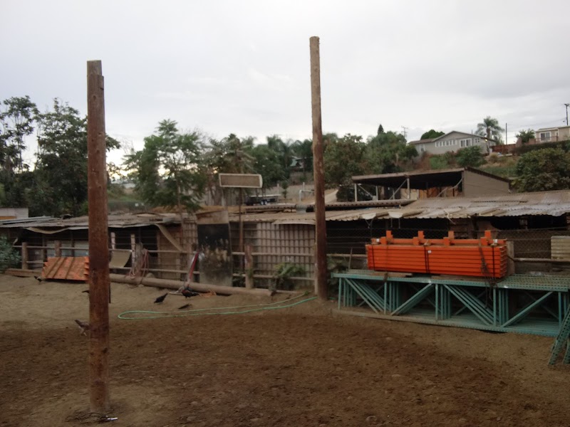 Photo of C & K Horse Ranch in California