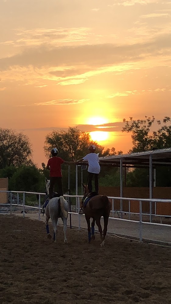 CaballoEquestrianClub photo 2