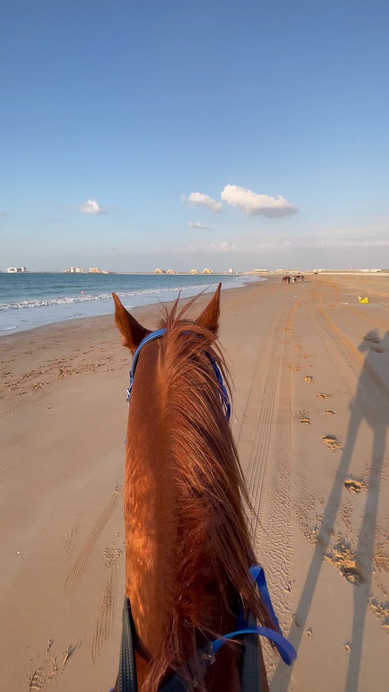 CaballoEquestrianClub photo 3