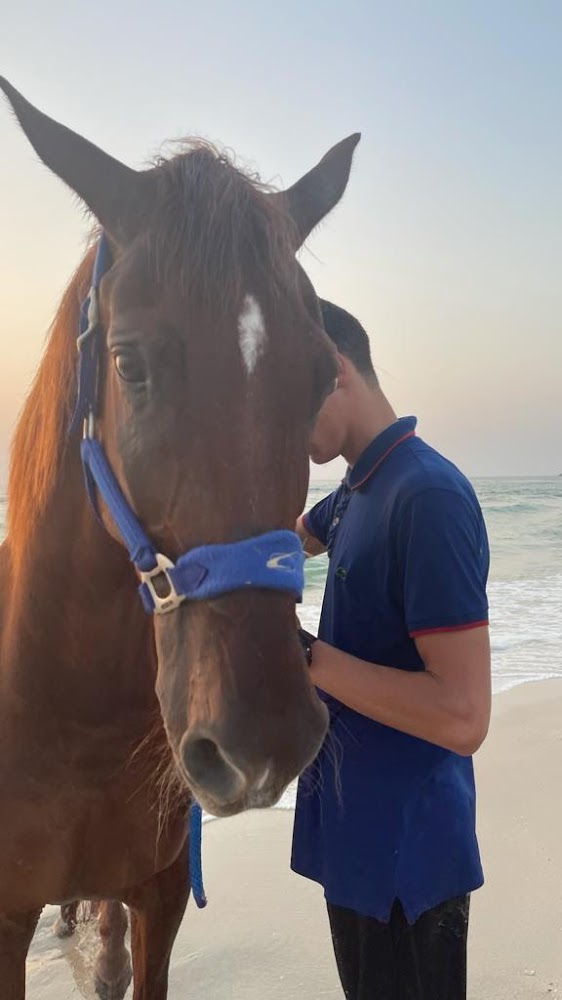 CaballoEquestrianClub photo 4