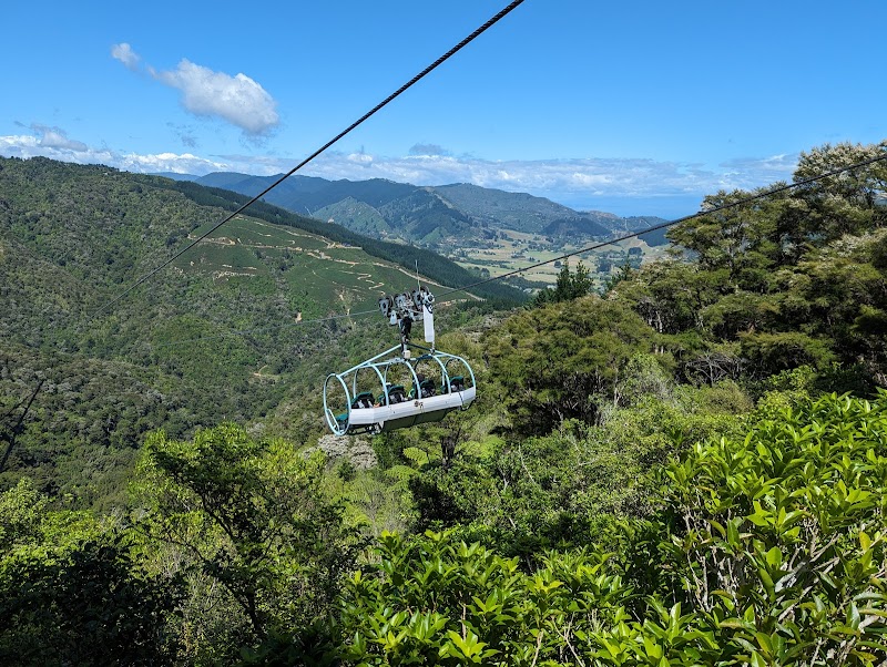 Cable Bay Adventure Park photo 2