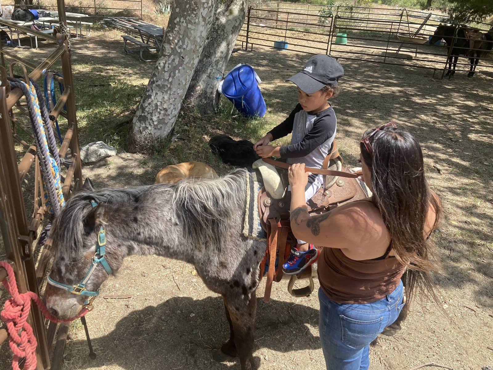 Cable Canyon Trail Rides (CCTR) photo 2