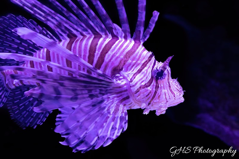Cairns Aquarium photo 3