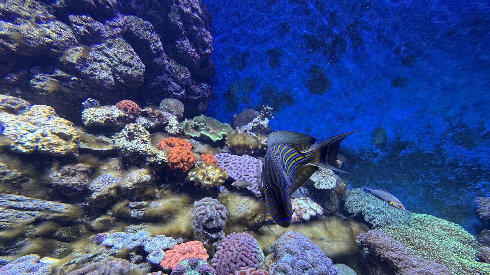 Cairns Aquarium