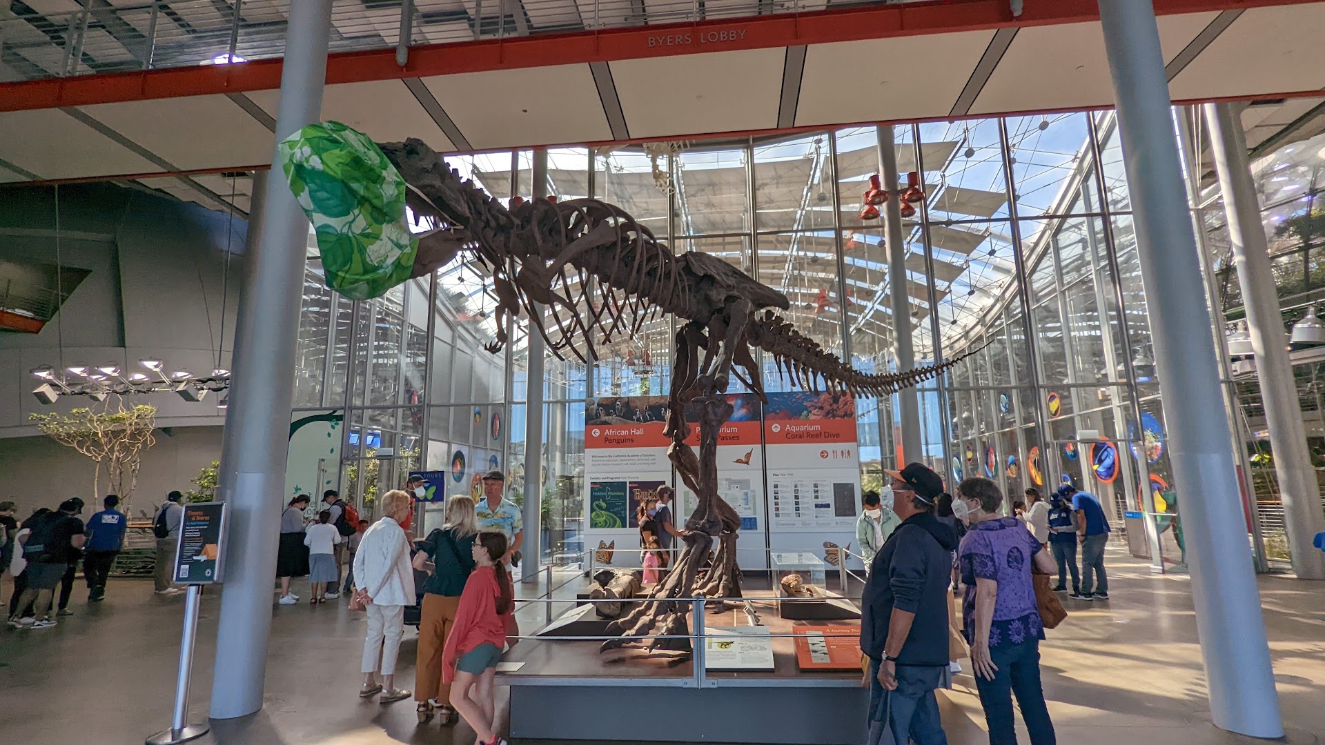 California Academy of Sciences photo 2