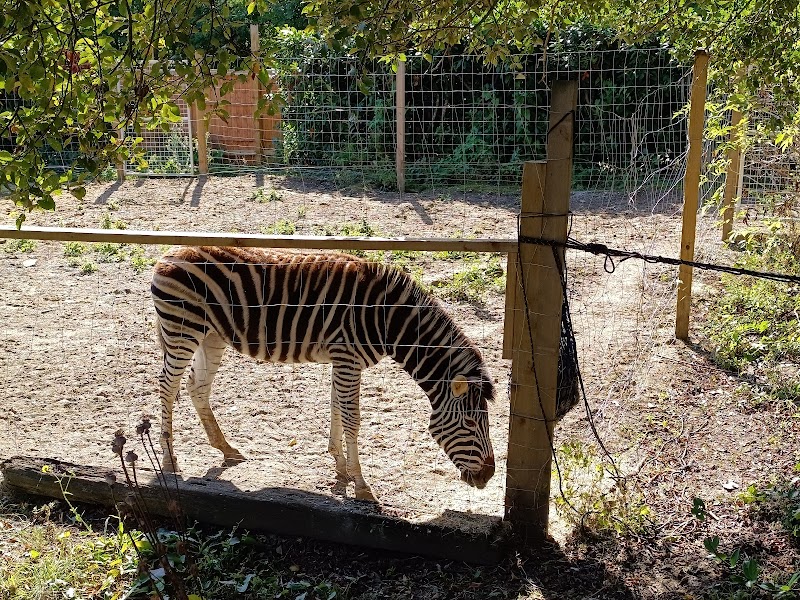 Call Of The Wild Zoo