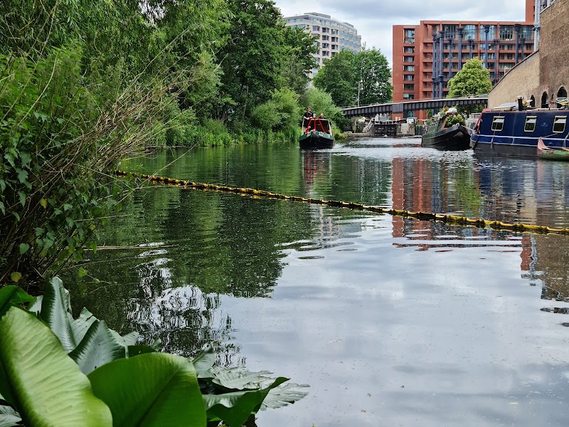 Camley Street Natural Park, London Wildlife Trust photo 2