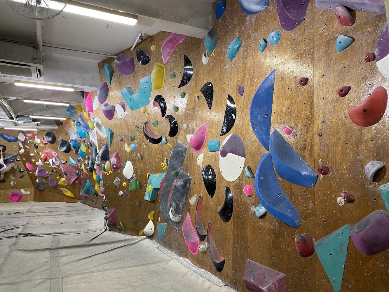 Campus Climbing photo 2