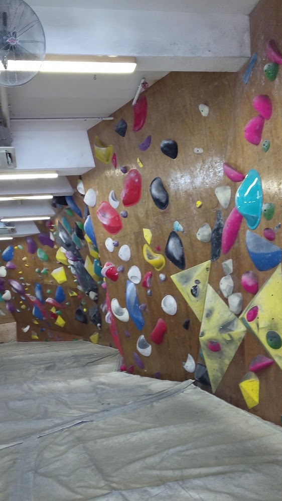 Campus Climbing photo 3