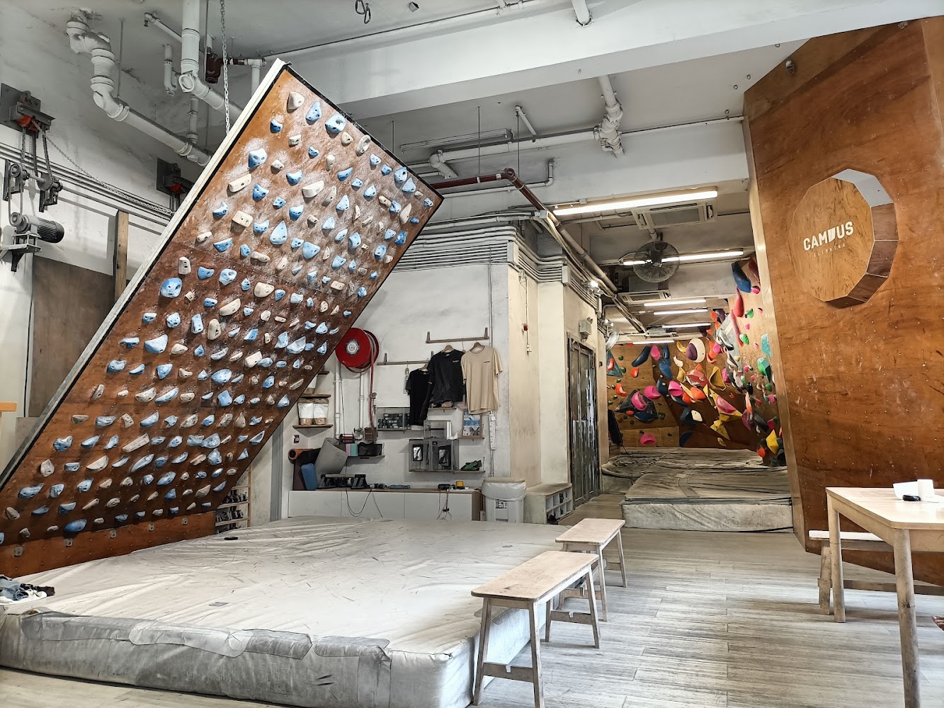 Campus Climbing photo 4